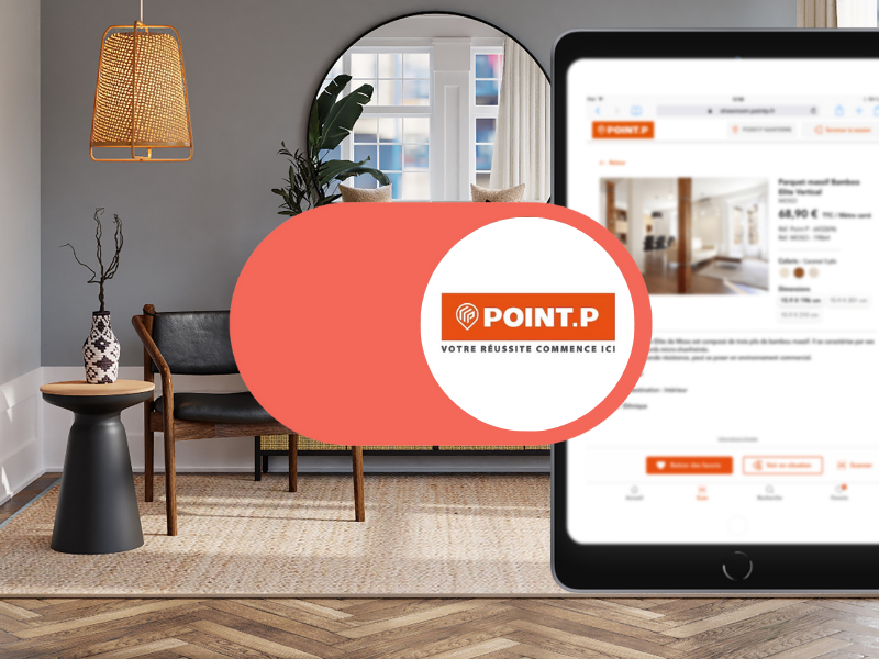 Refonte design de la solution Magic View - Point. P - Cas client