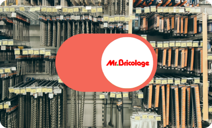 Mr.Bricolage Design de Service Atecna