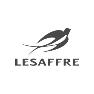 logo-lesaffre2
