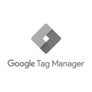 Logo Google Tag Manager